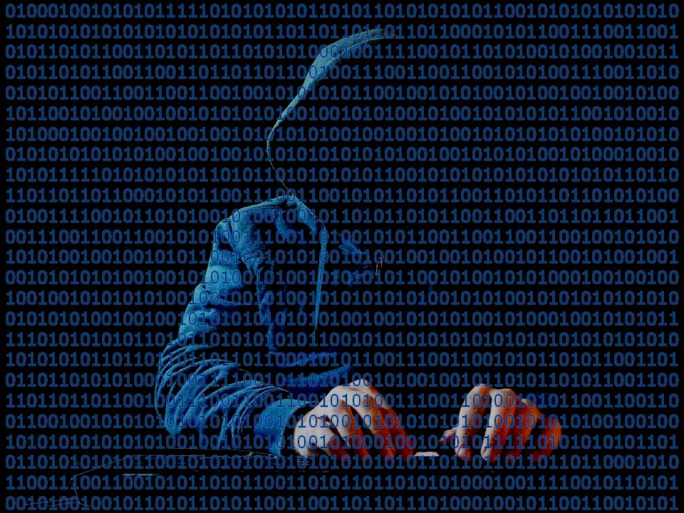 An image of a faceless hacker in a dark hooded sweatshirt sitting and typing at a keyboard, with binary code running across the foreground.