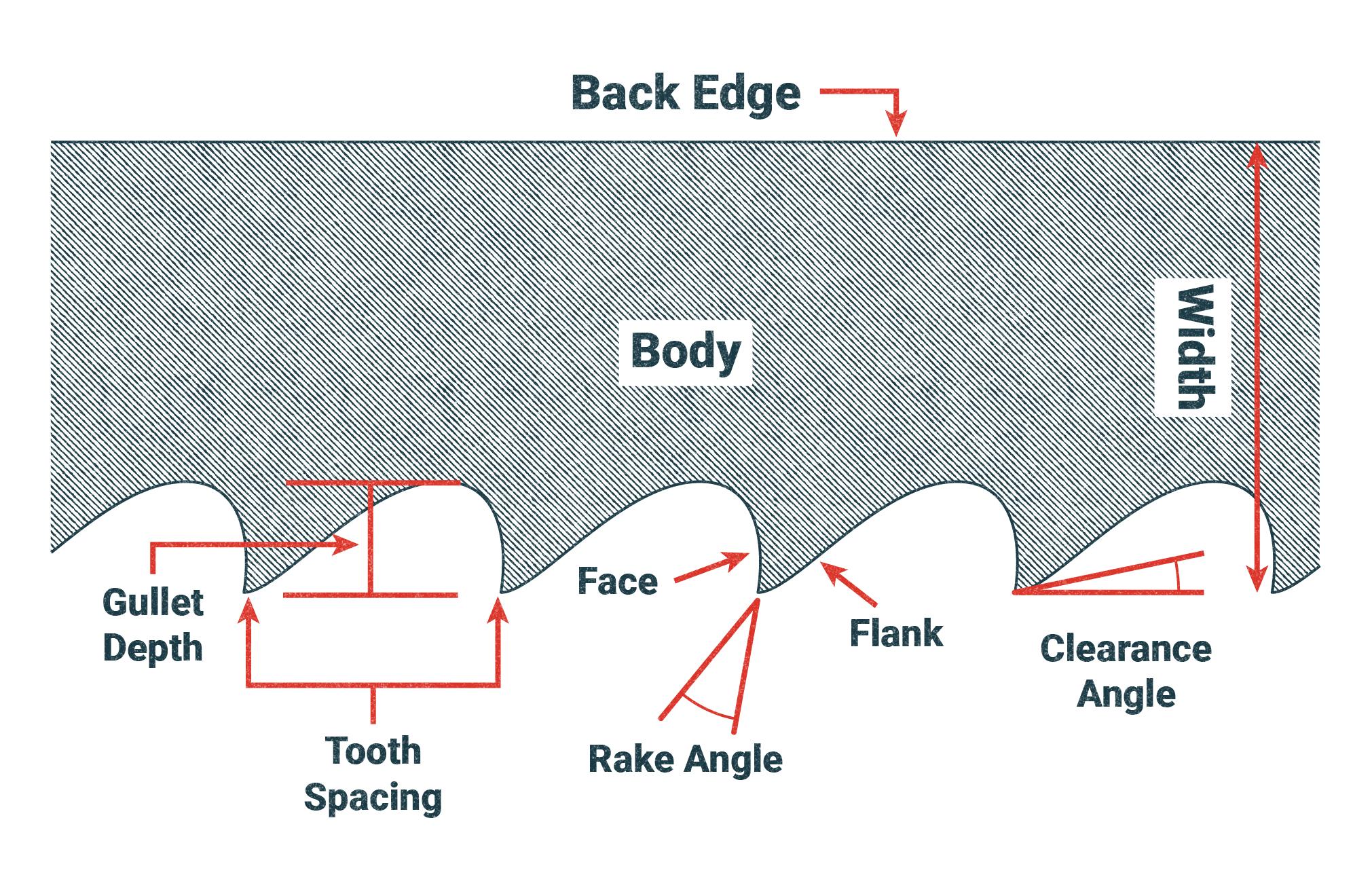 Short section of a saw blade. The back edge is at the top. The teeth are at the bottom. The distance from the back to the front of the teeth is called the width of the blade. The tooth spacing is measured in terms of the number of teeth per inch.