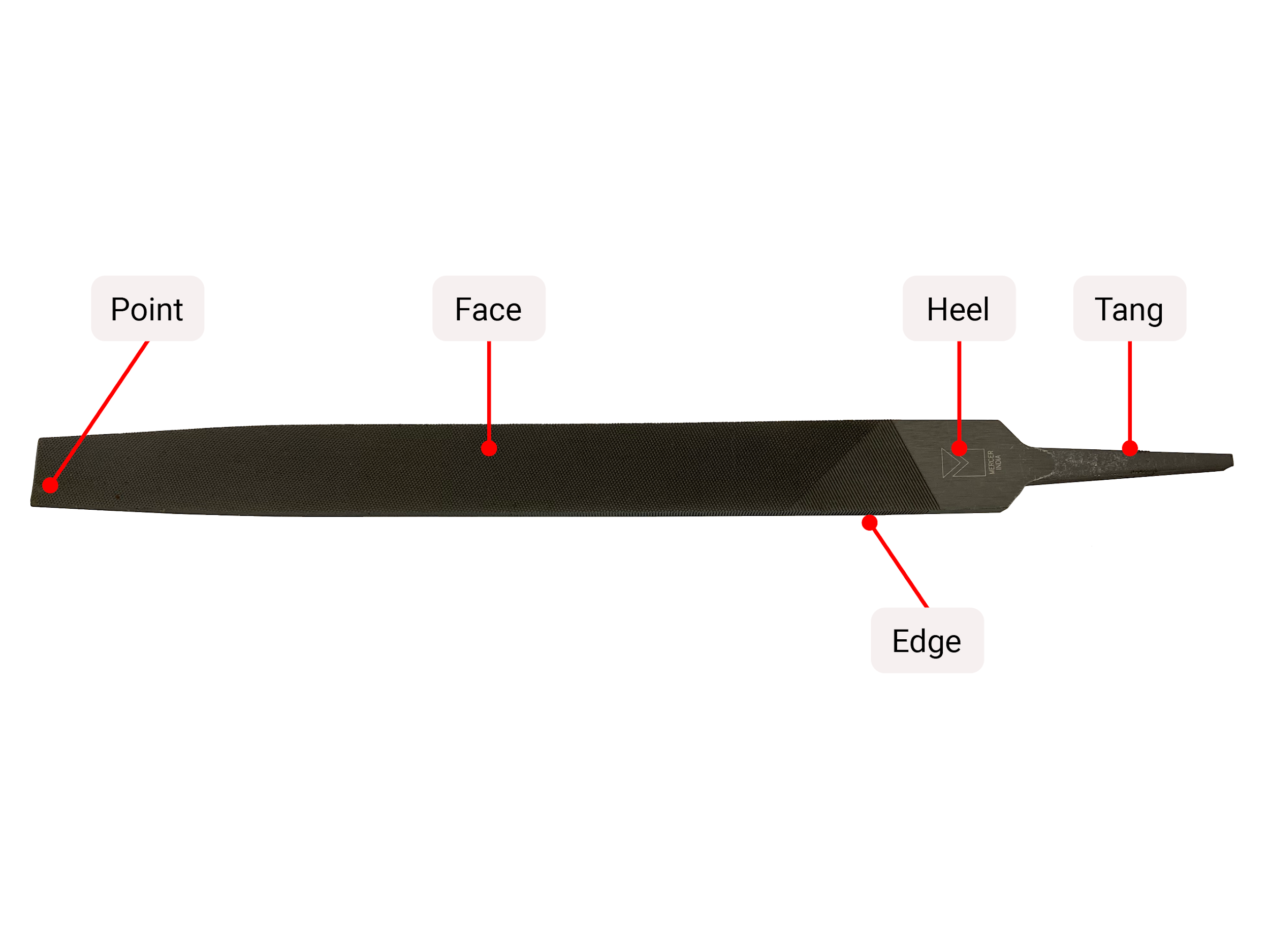 Parts of a file labeled: point, face, edge, heel, and tang.