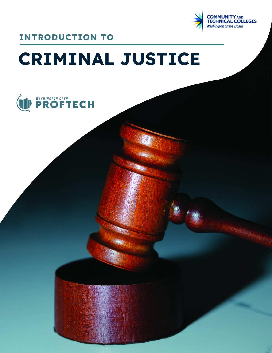Cover image for Introduction to Criminal Justice