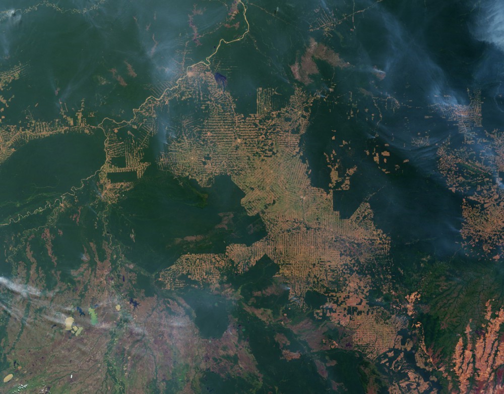 A satellite photo of deforestation shows large areas of dark green intact rainforests with large tan bare areas in the center and to the bottom left side. Light green crop or pasture areas are scattered throughout the tan areas. A fish-bone pattern of small clearings along new roads can be seen within the dark green areas in many places.