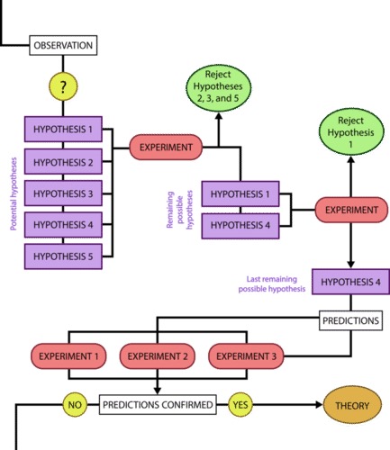 A more complex flow chart illustrating how the scientific method usually happens.