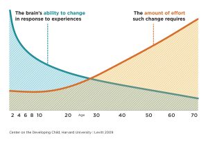 Graph demonstrating plasticity, showing the brain’s ability to change in response to experiences goes down with age, and the amount of effort change requires goes up with age.