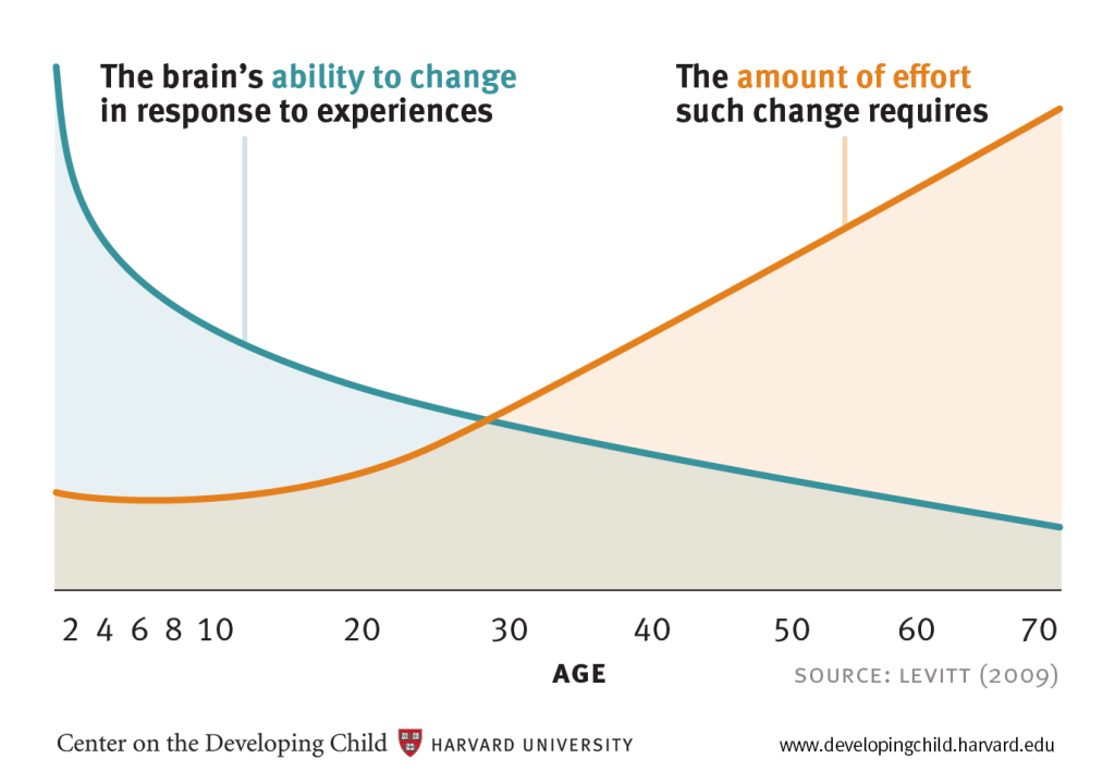 Graph demonstrating plasticity, showing the brain’s ability to change in response to experiences goes down with age, and the amount of effort change requires goes up with age.