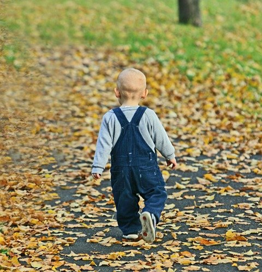 Child walking away from camera on a path of leaves