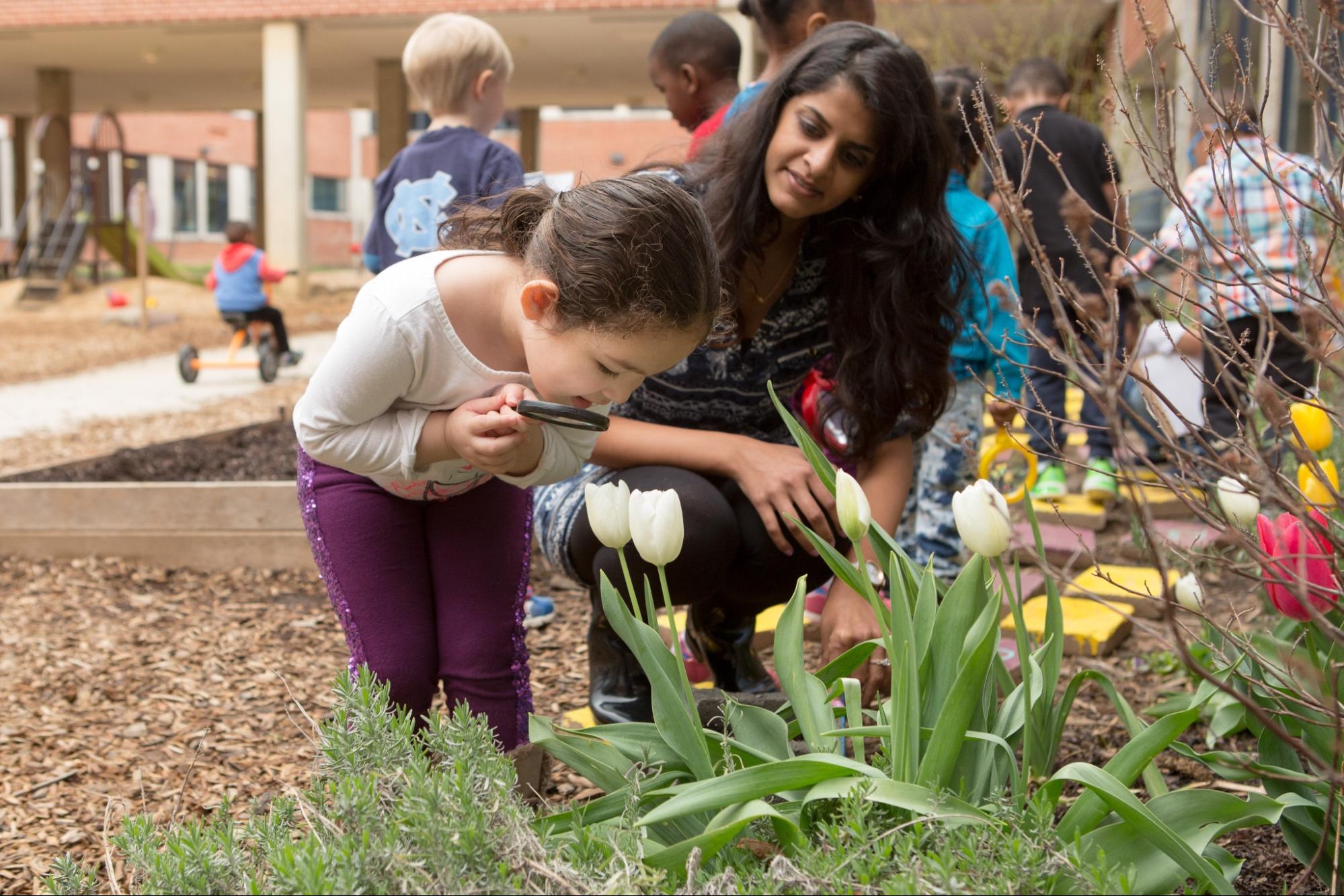 Teacher watches student in garden. Student holds a magnifying glass up to white tulips.