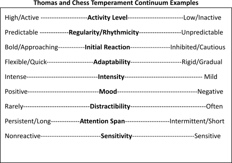 Temperament Scale indicating variability in activity level, regularity/rhythmicity, initial reaction, adaptability, intensity, mood, distractibility, attention span, sensitivity.