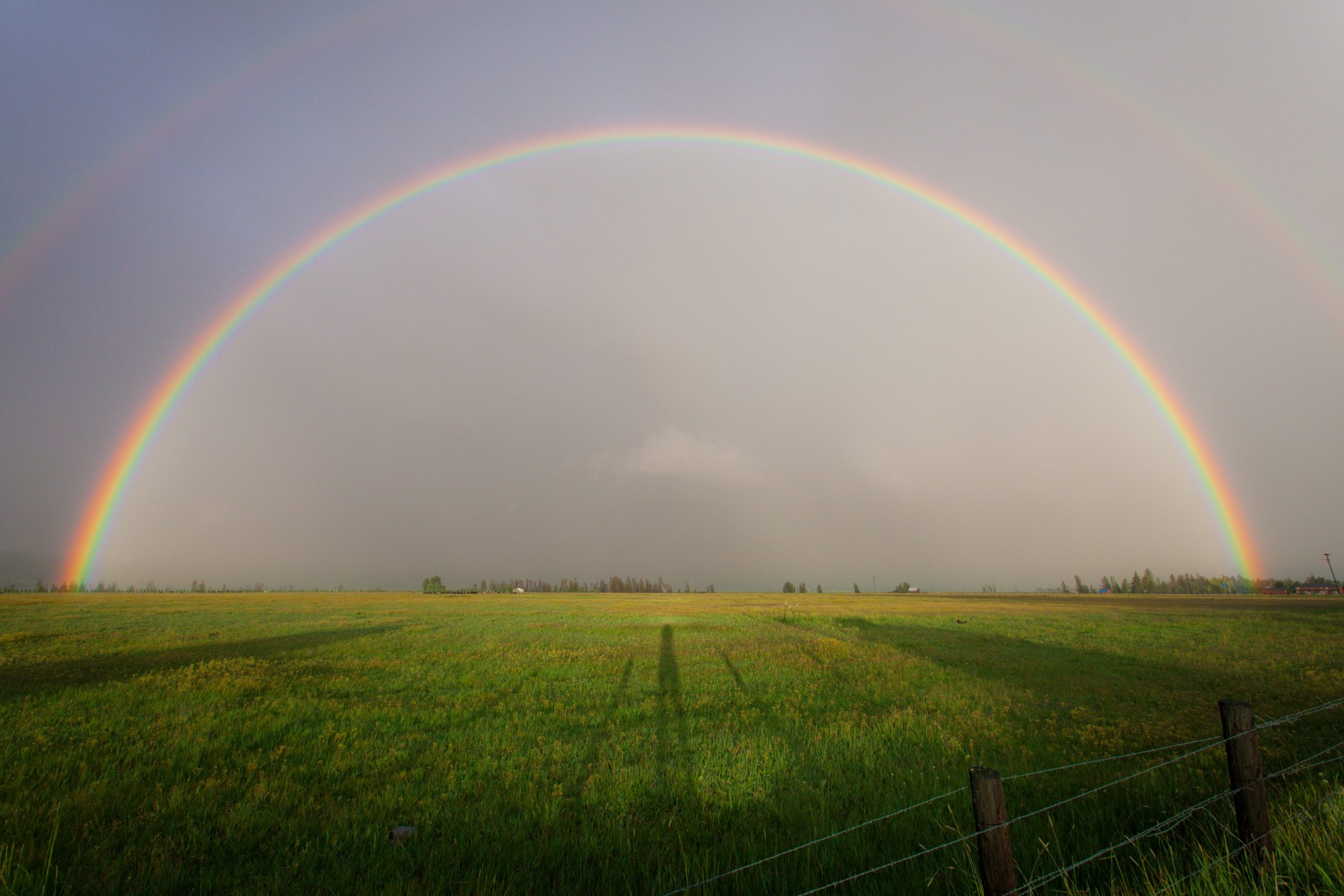 Rainbow on grass field