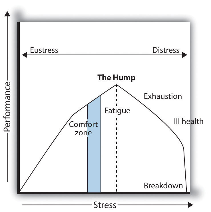 The Stress Curve