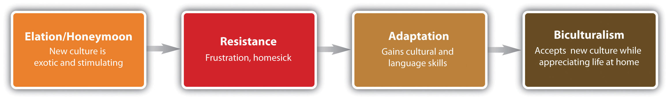 Phases of Expatriate Adjustment: Elation/Honeymoon (New culture is exotic and stimulating); Resistance (Frustration, homesick); Adaptation (Gains cultural and language skills); Biculturalism (Accepts new culture while appreciating life at home)