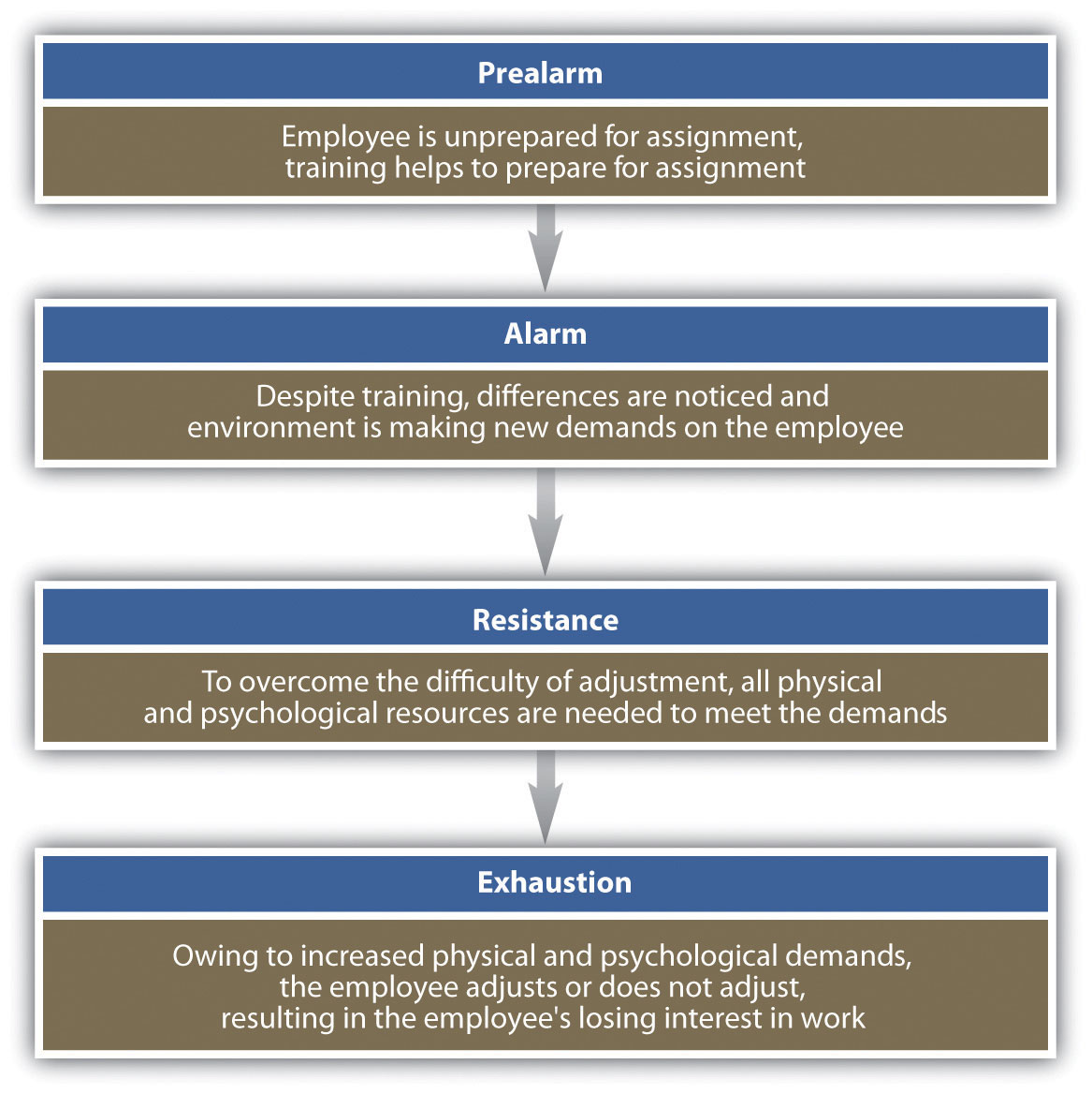 General Adaption Syndrome to Explain Expatriate Stress: Prealarm (Employee is unprepared for assignment, training helps to prepare for assignment); Alarm (Despite training, differences are noticed and environment is making new demands on the employee); Resistance (To overcome the difficulty of adjustment, all physical and psychological resources are needed to meet the demands); and Exhaustion (Owing to increased physical and psychological demands, the employee adjusts or does not adjust, resulting in the employee's losing interest in work)