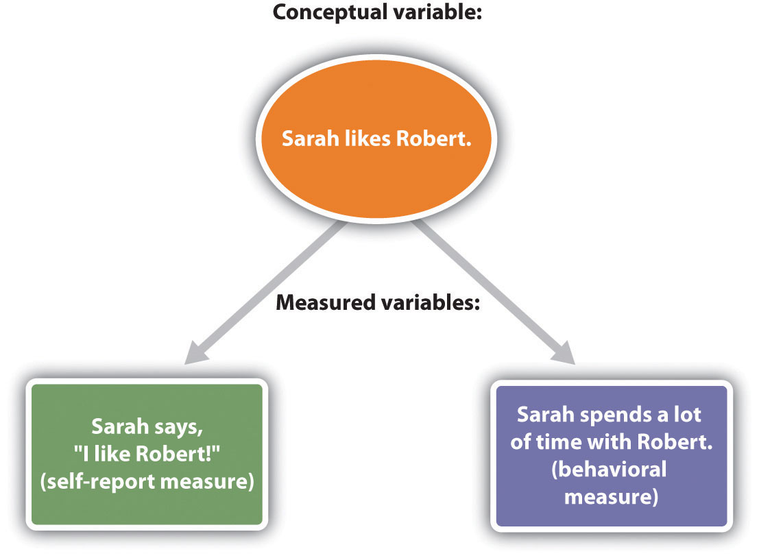 The Operational Definition: Sarah Likes Robert. Either Sarah says,