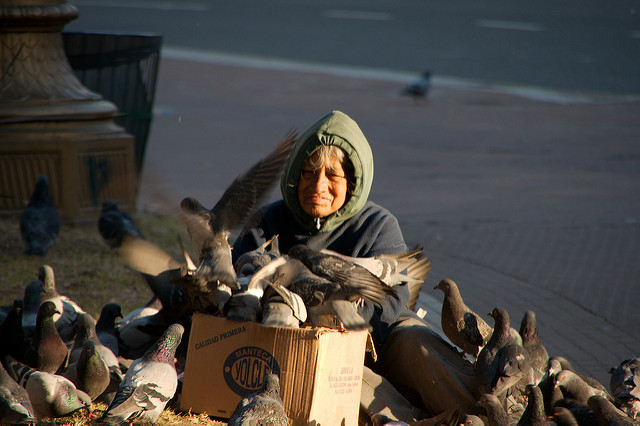 An old woman feeding the pigeons