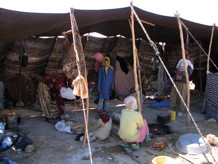 Nomad's living under a tarp supported by sticks