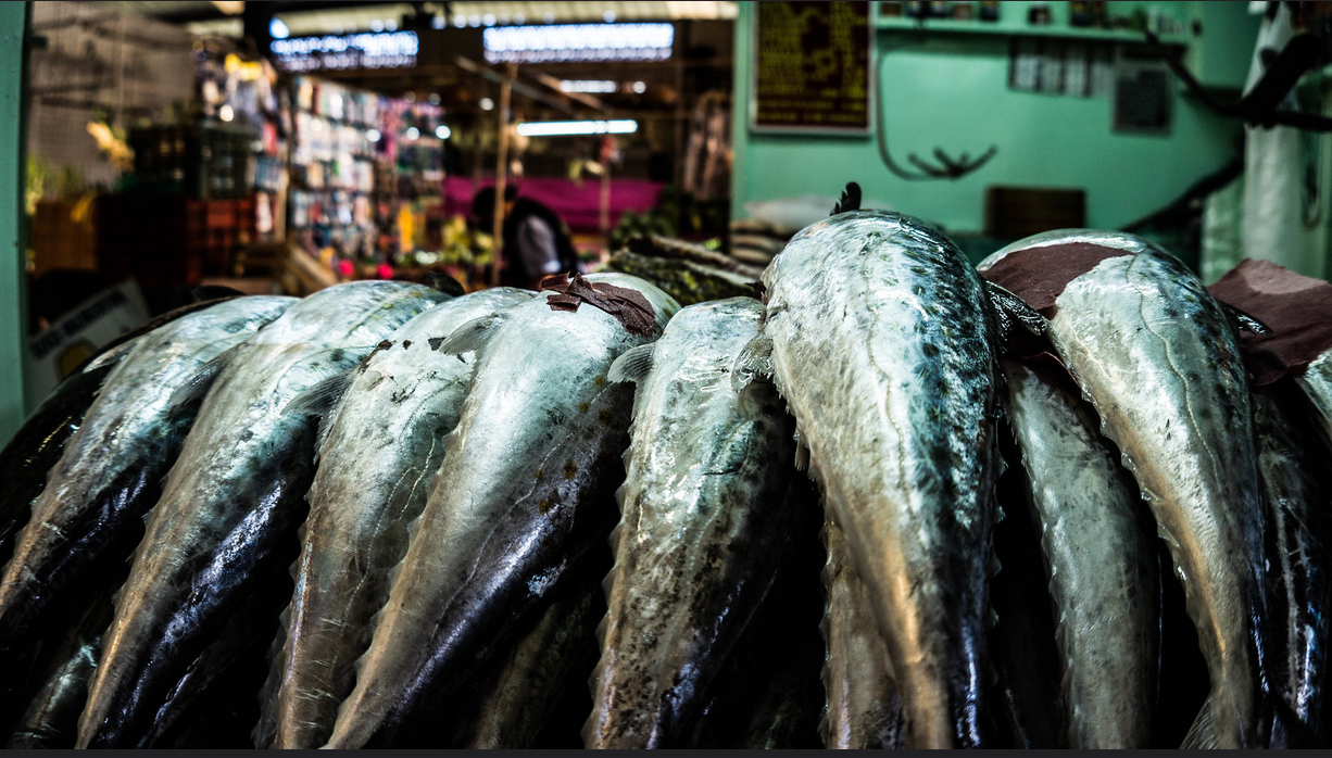 Fish at Cholula Market, Mexico.