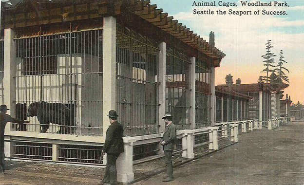 Photograph depicts a bear inside a cage. Three men stand outside the cage looking at the bear. One man has his hands toward the cage. Scene is in monochrome.