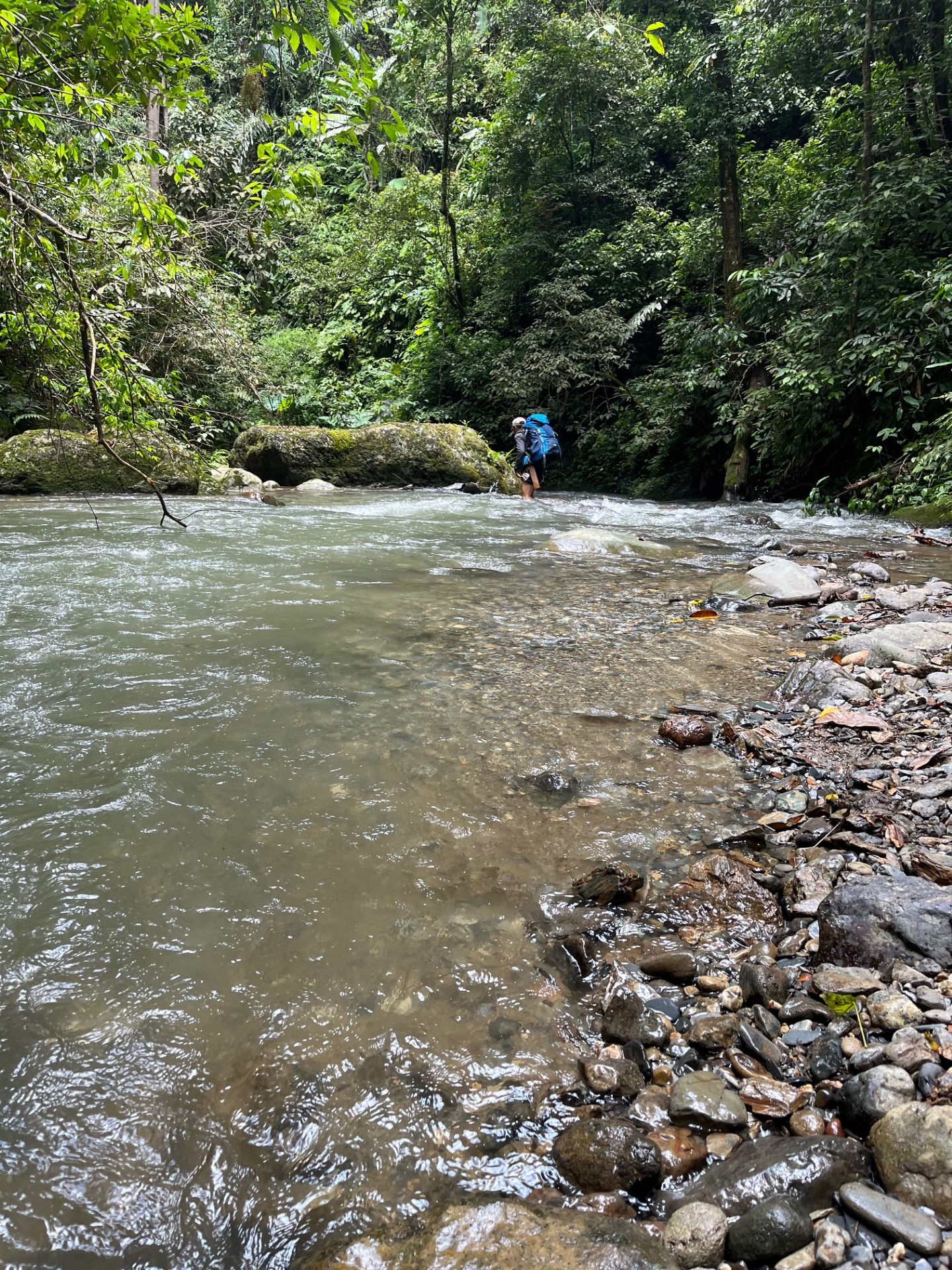 A backpacker enjoys a trek in the rainforest of Indonesia.