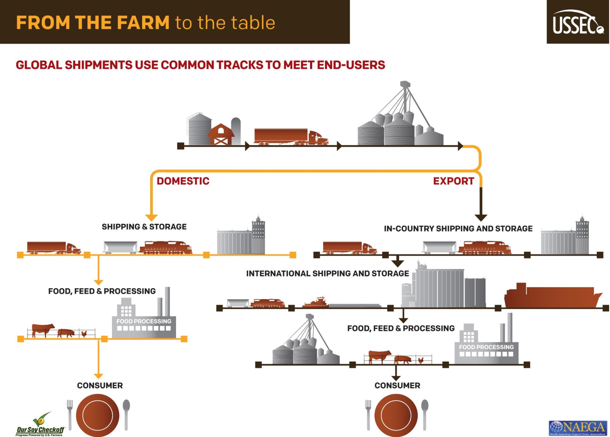 Components of the food supply chain, from farm to table, divided into domestic vs. export products.