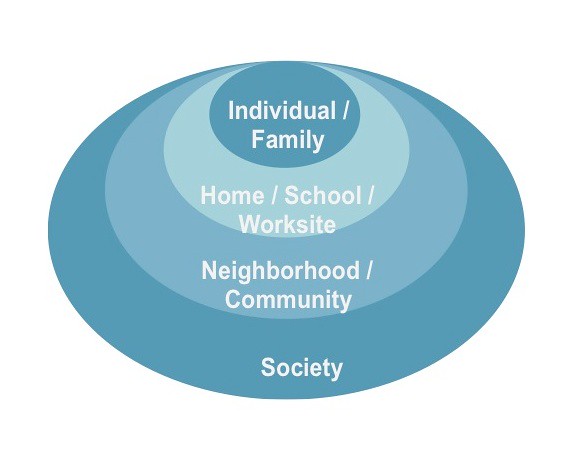 A figure of concentric circles. The smallest circle reads “individual / family” and is the internal circle. “Home / School / Worksite” surrounds it, followed by “Neighborhood / Community”, and lastly “Society”. These circles represent the different layers of the social determinants of health, from most personal spaces, to the most public.