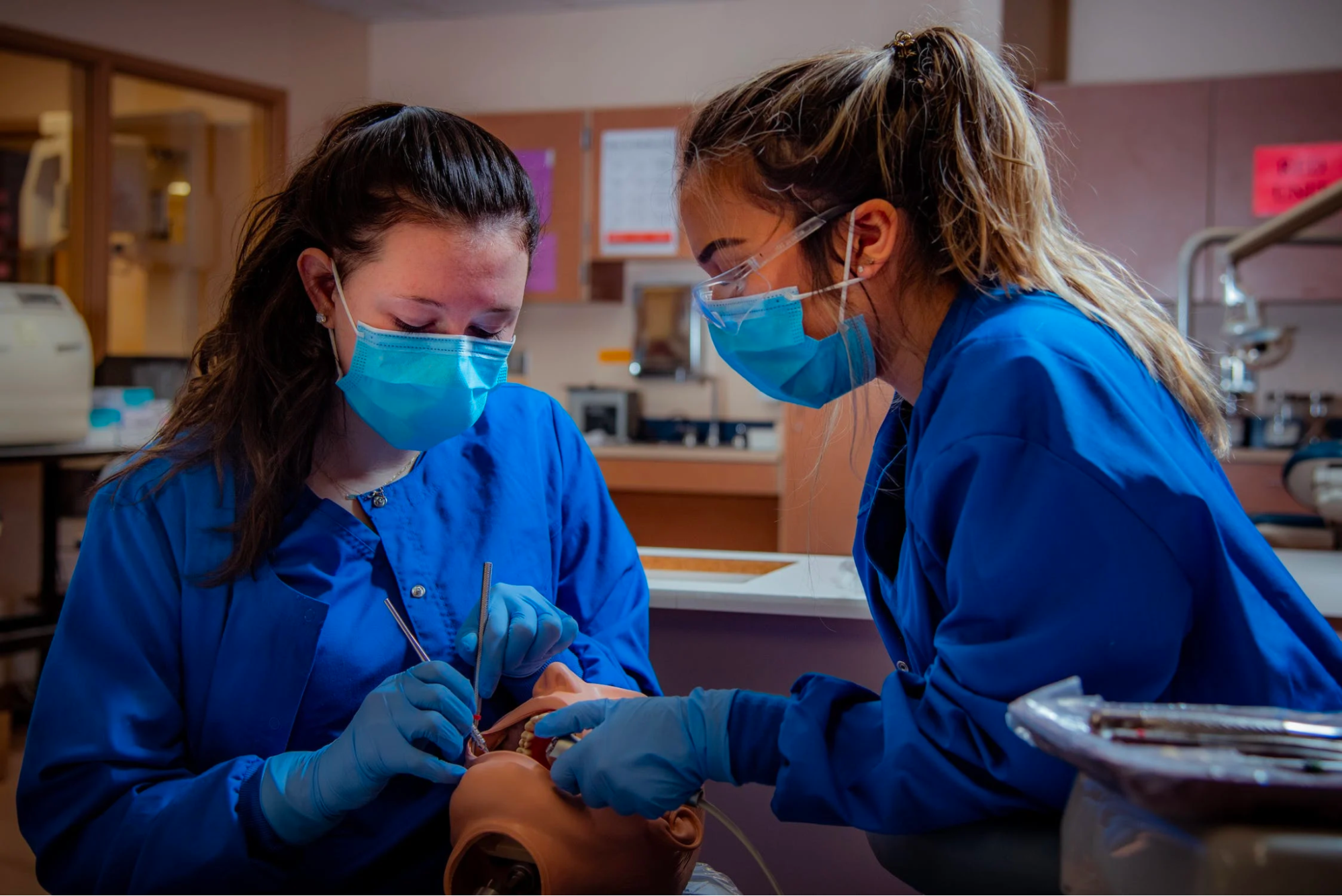 Two young women in royal blue scrub jackets are looking into the mouth of a trainer manikin head, one has a tool in the mouth.