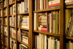 Bookshelves containing neatly stacked books.