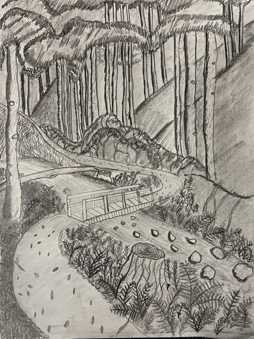 Drawing of path through forest with bridge and trees in foreground cut down