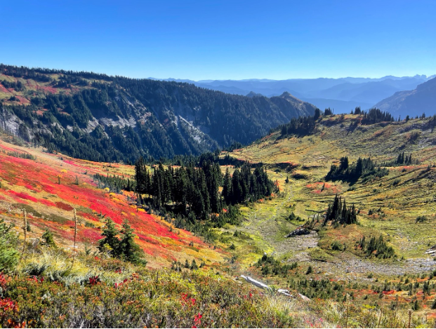 Photo of Mt. Rainier landscape