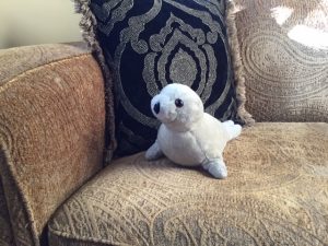 Stuffed white seal on chair.