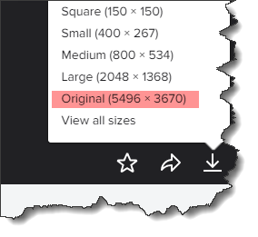 screenshot of an image download page from Flickr. Original size option is highlighted.