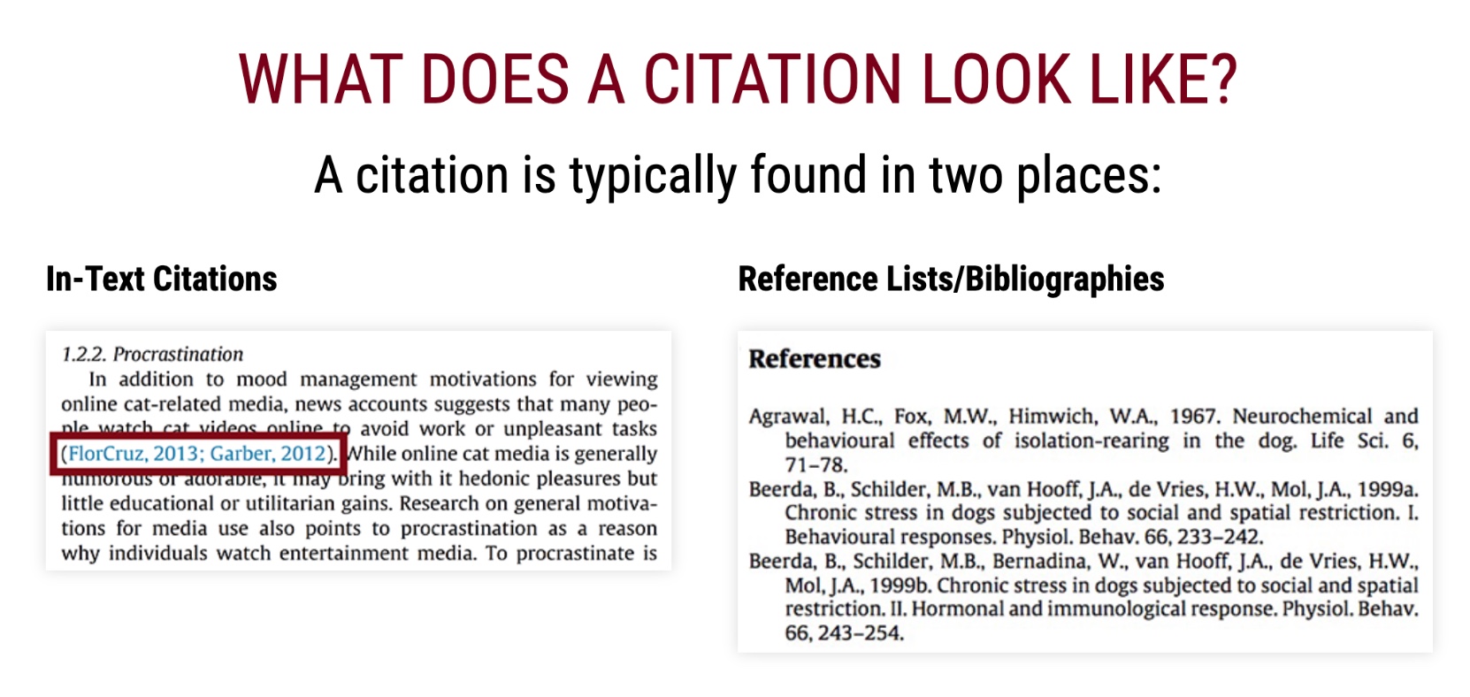 Citations include an in-text citation and a citation in the bibliography.