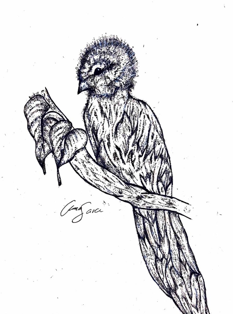 A bird sitting on a branch with two leaved, in black sharpie and acrylic paint displayed on a white paper.