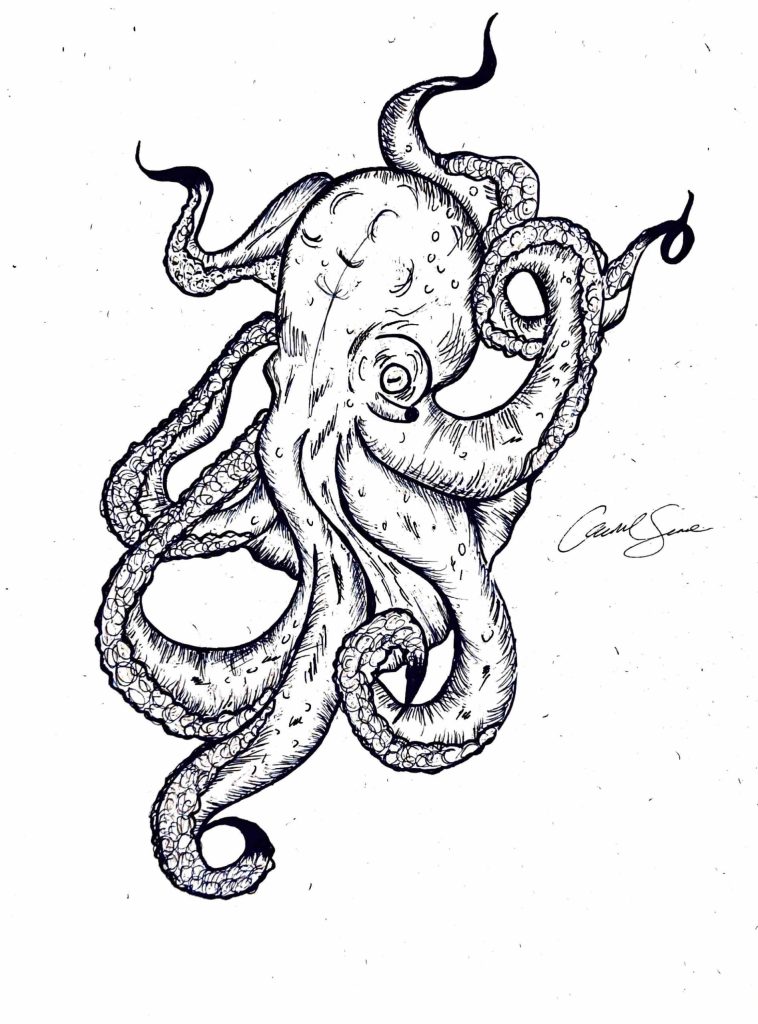 An octopus in black fine sharpie drawn diagonally from the upper right corner to the bottom left, on white paper. The artist's signature is in the middle right of the page.