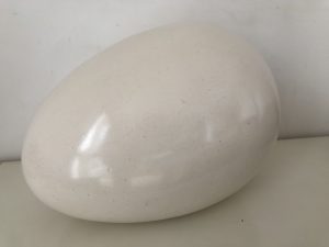 A smooth white ovular stone.