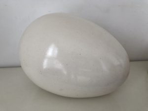 A smooth white ovular stone.