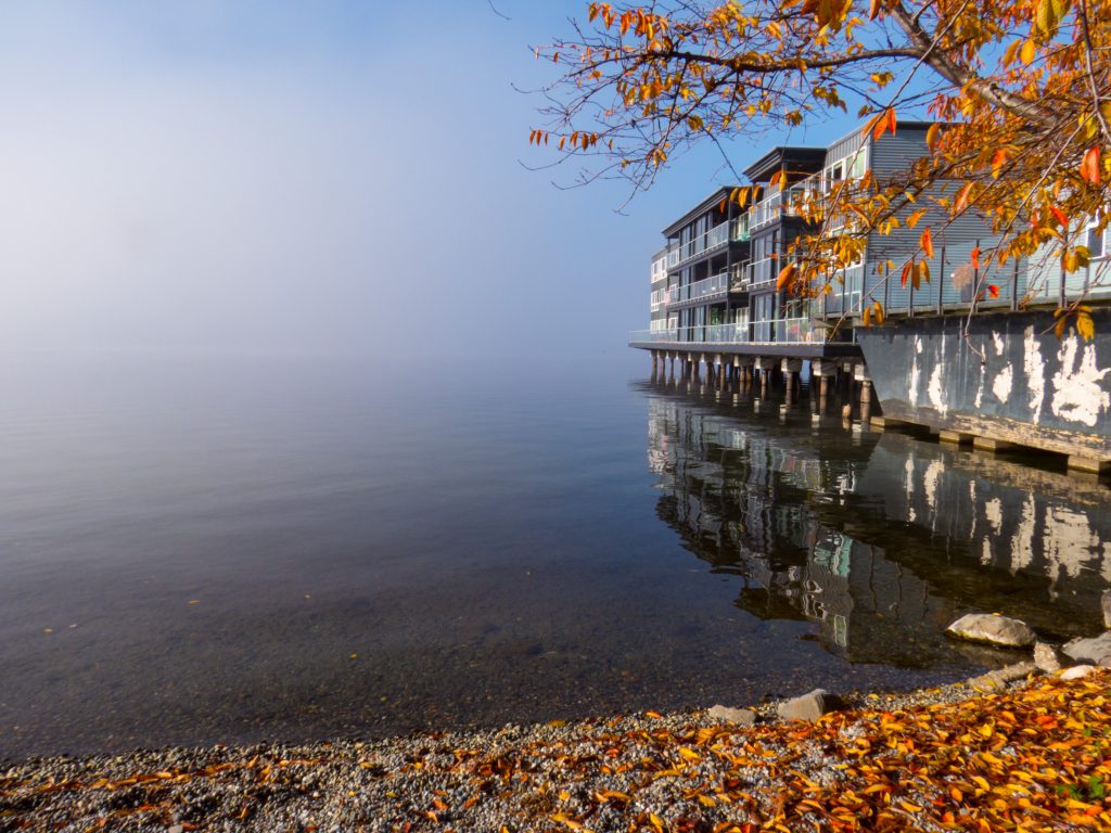 A rocky shore covered in yellow and orange leaves leads to clear water reflecting an apartment building on the right side. The water disappears into mist, concealing the horizon line.