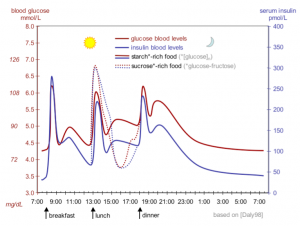 Glucose and insulin levels fluctuate similarly throughout the day. As glucose rises, insulin is released. As insulin carries glucose into cells, both decline in the blood. Levels are highest after meals, and lowest upon waking.