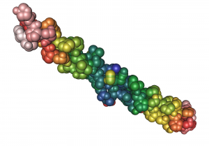 Diagram of the triple helix structure of collagen