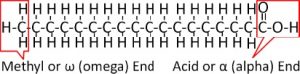 Fatty acids are long chains of carbon atoms with a methyl or omega (CH3) group on one end and a carboxylic acid or alpha (COOH) on the other end.