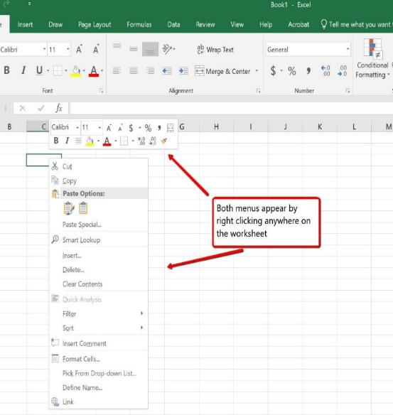 Image of MS Excel dropdown contect menu