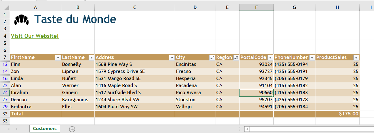 Image of MS Excel filtered table
