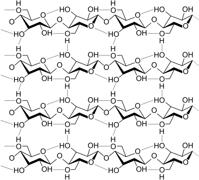 image shows chemical structure of cellulose, with a total of 16 glucose units arranged in rows of 4 each, with hydrogen bonds linking them vertically, as in a grid.