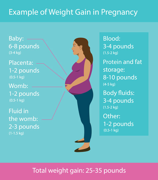 The image depicts a pregnant woman holding her large belly, with text indicating the components of her pregnancy weight gain. They include baby (6-8 lb); placenta (1-2 lb); womb (1-2 lb); fluid in womb (2-3 lb); blood (3-4 lb); protein and fat storage (8-10 lb); body fluids (3-4 pounds); and other (1-2 lb), for total weight gain of 25 to 35 lb.