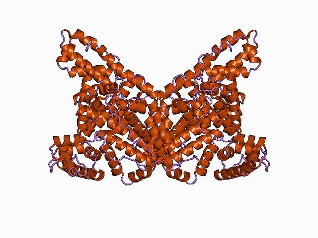 Cartoon representation of the protein structure of albumin.