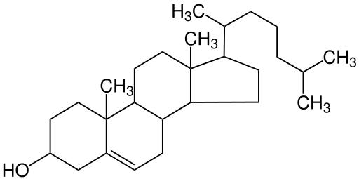 A drawing of cholesterol showing that it contains four carbon rings attached together with a carbon chain attached on one side.