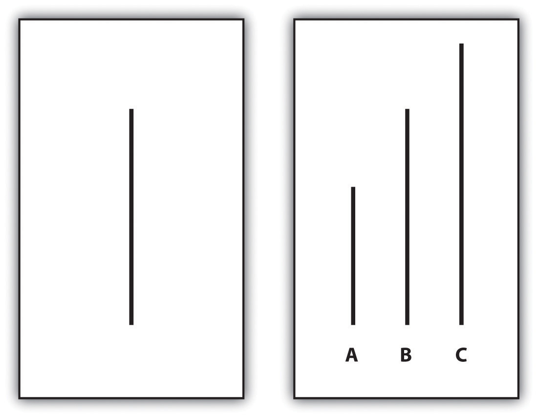 Examples of Cards Used in Asch's Experiment