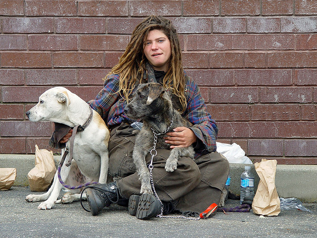 A homeless woman with dogs