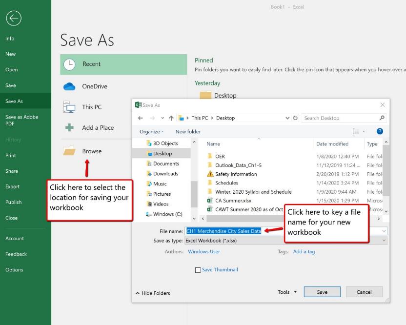 Image of MS Excel Save As page and look for file dialog box