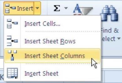 Image of MS Excel insert sheet columns