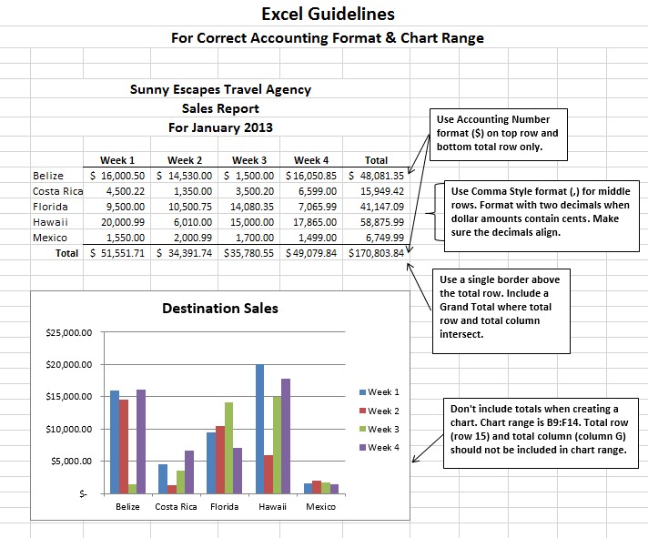 Image of MS Excel accounting format standard