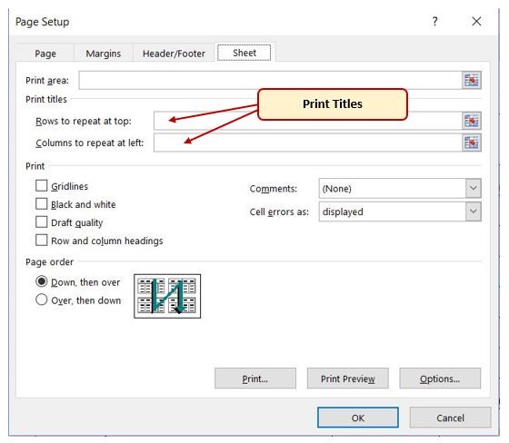 Image of MS Excel page setup panel sheet tab